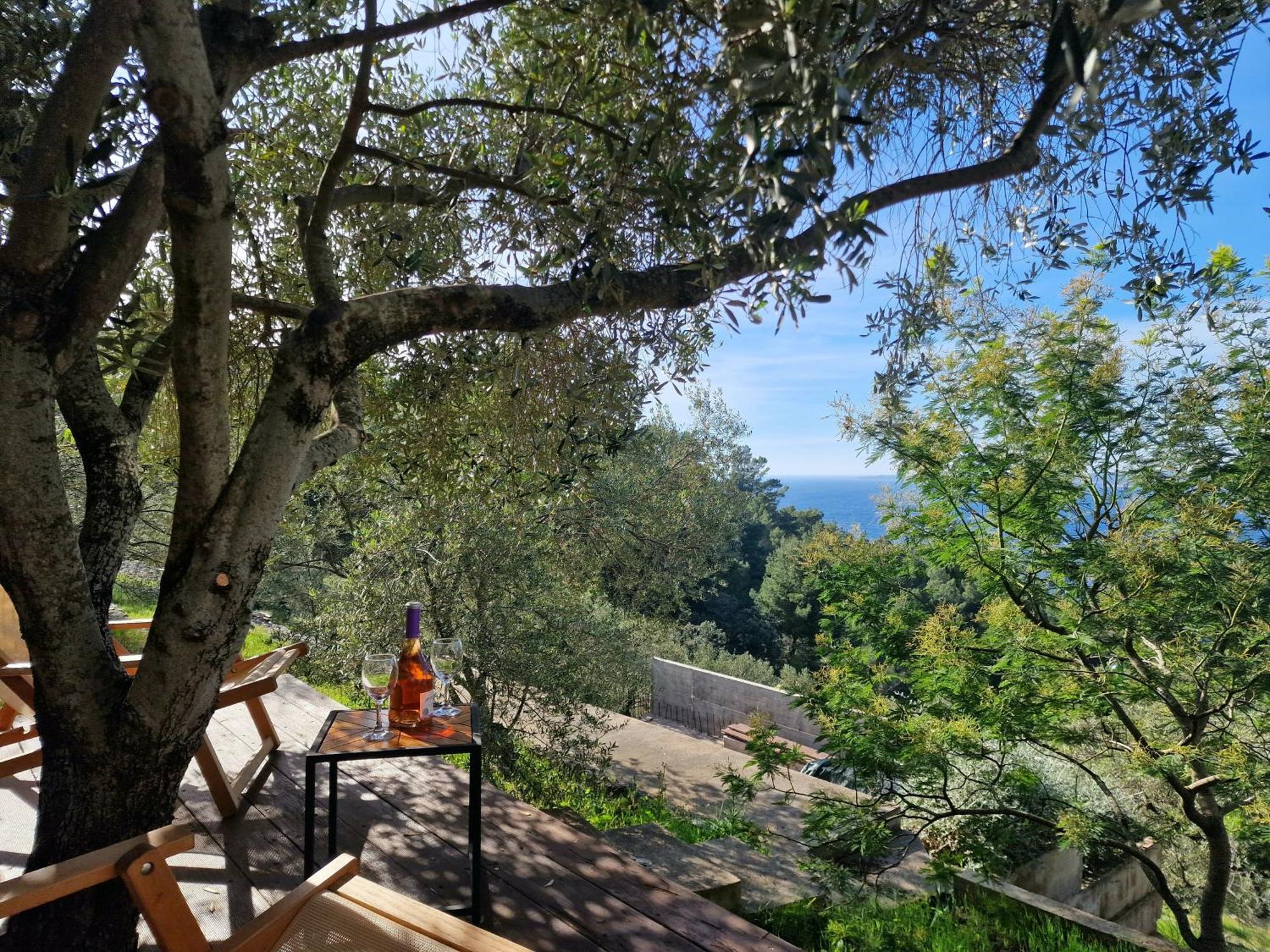 Holiday Home Maslinova Vela Luka Ngoại thất bức ảnh