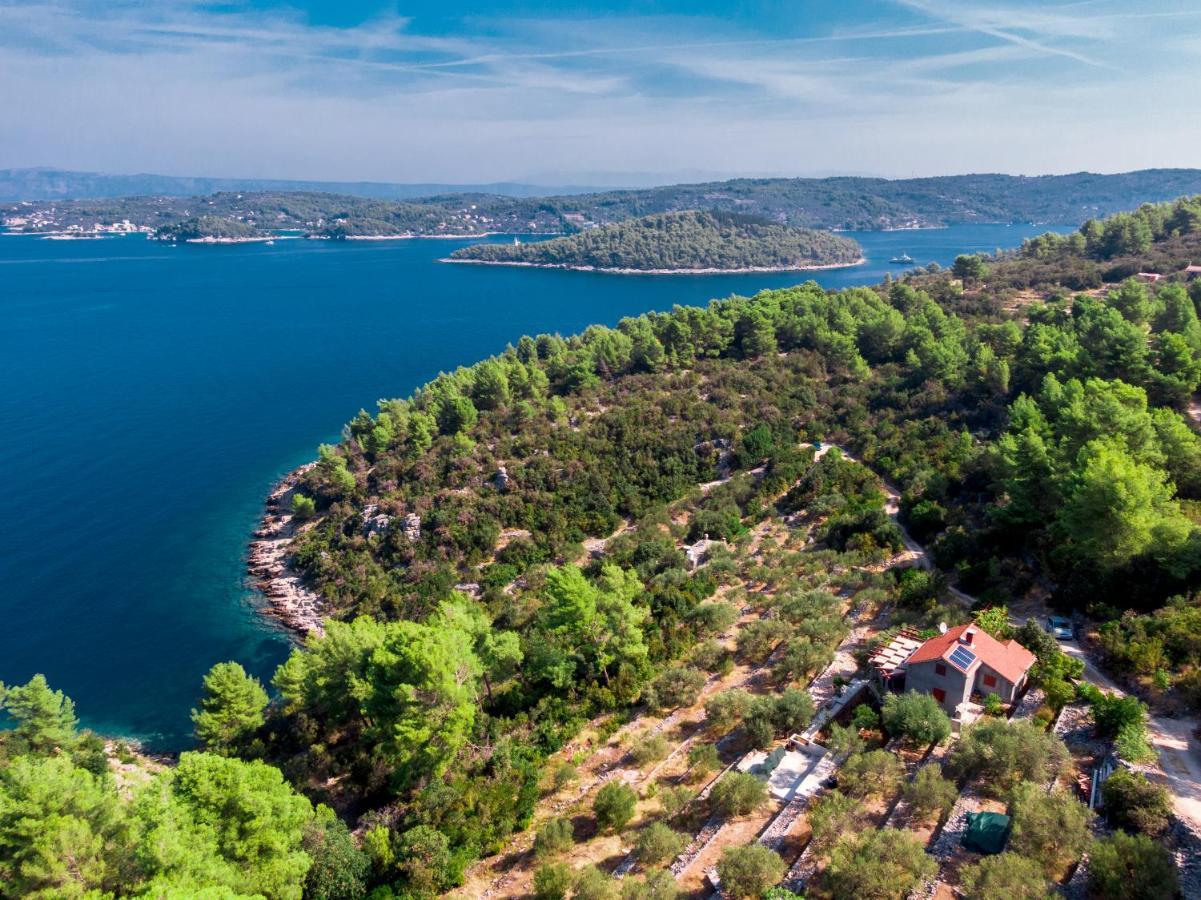 Holiday Home Maslinova Vela Luka Ngoại thất bức ảnh